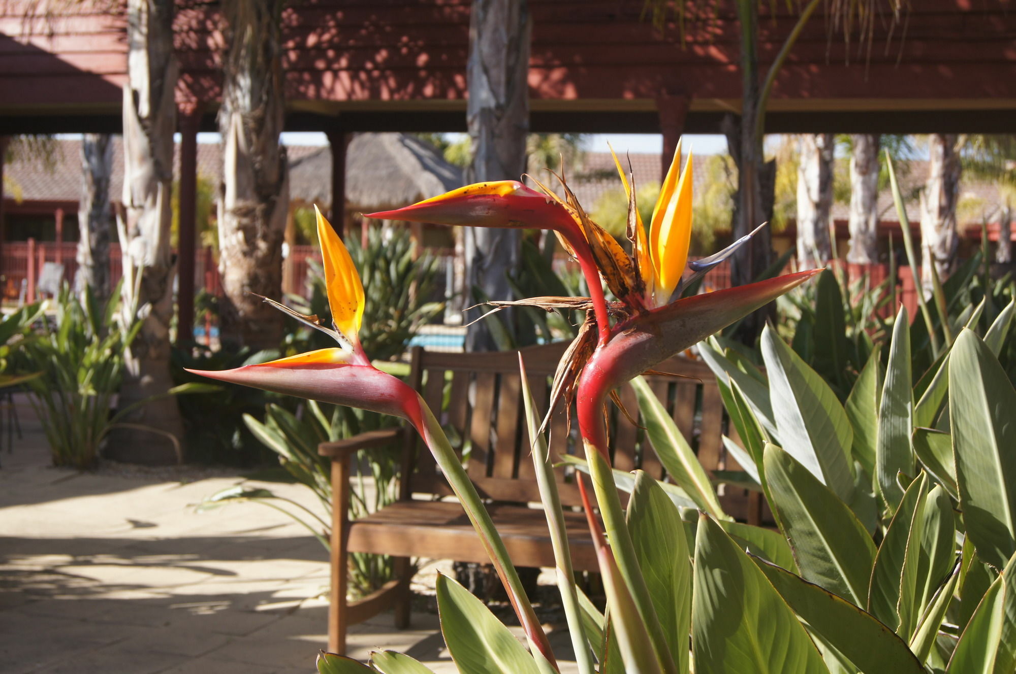 Quality Hotel Lakeside Bendigo Exterior foto